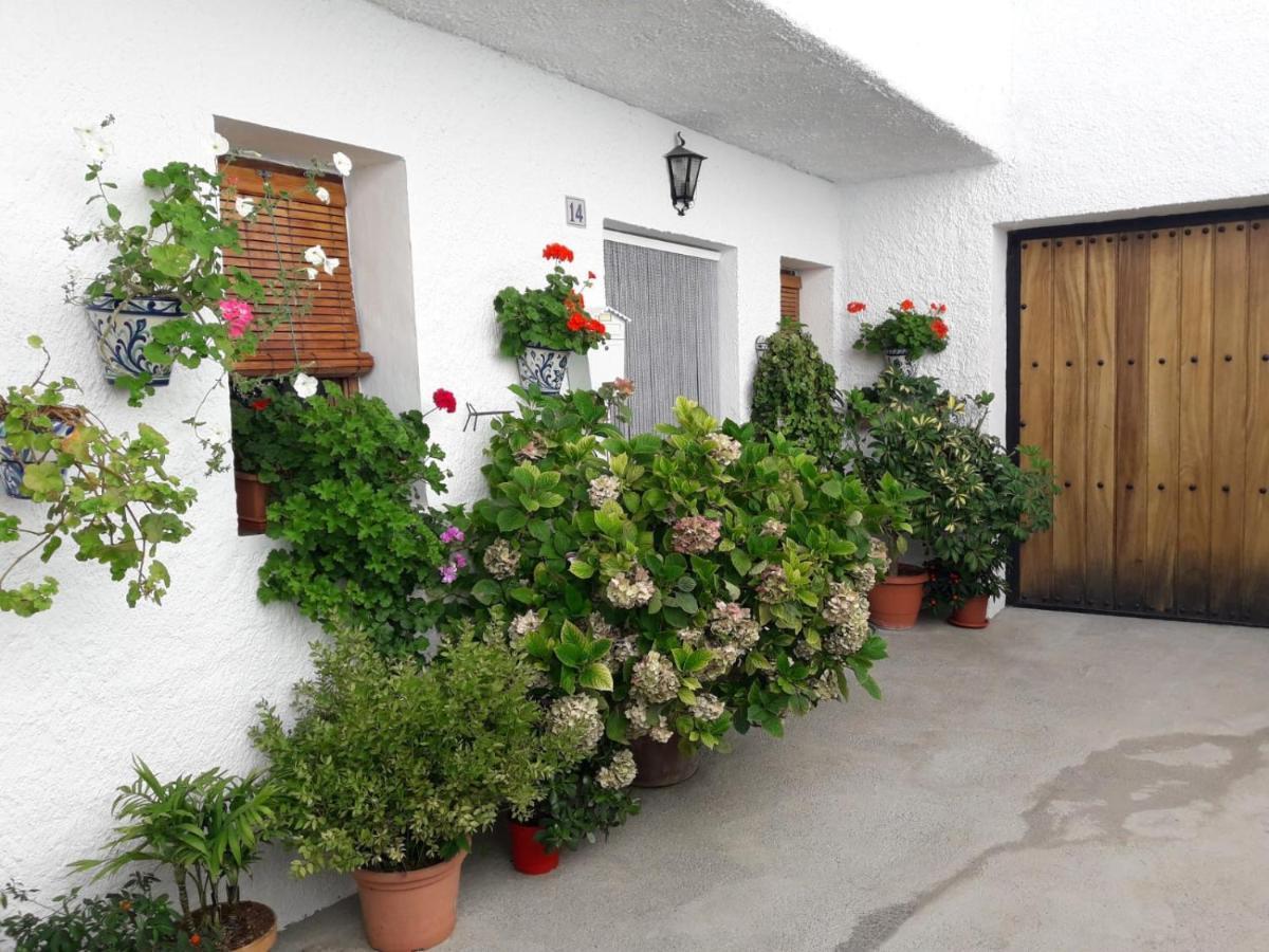 Casa La Huerta Appartement Bubión Buitenkant foto